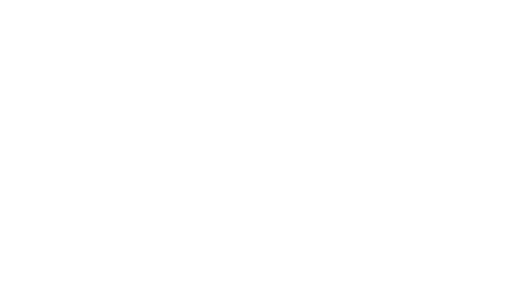 ACE Achieving Competitive Excellence